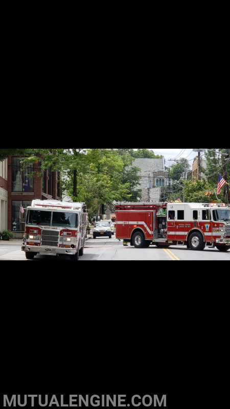 Exterior fire - Elephants Trunk